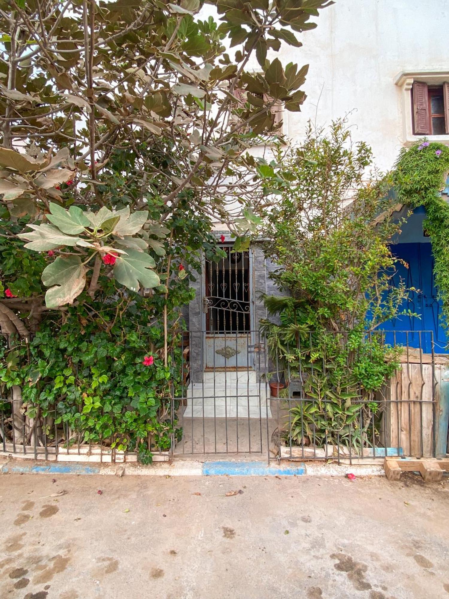 אגאדיר Dallas Private Surf Apartment מראה חיצוני תמונה